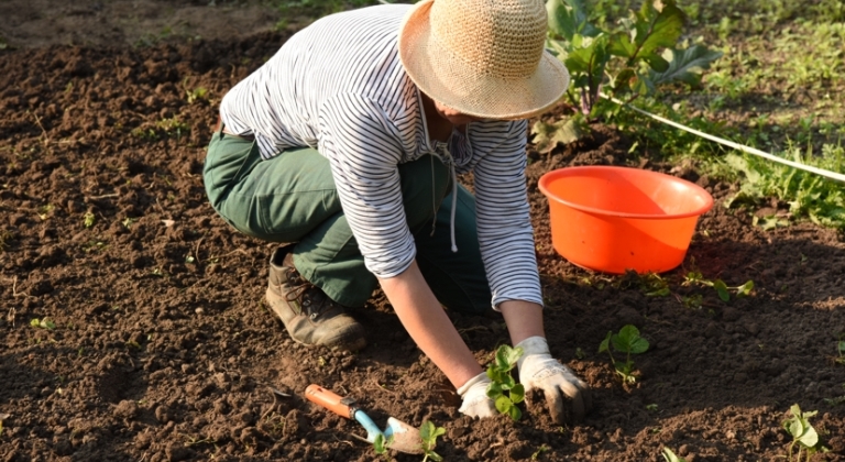 inab Kiel AGH Kollhorst Garten